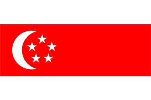 中國到新加坡快遞